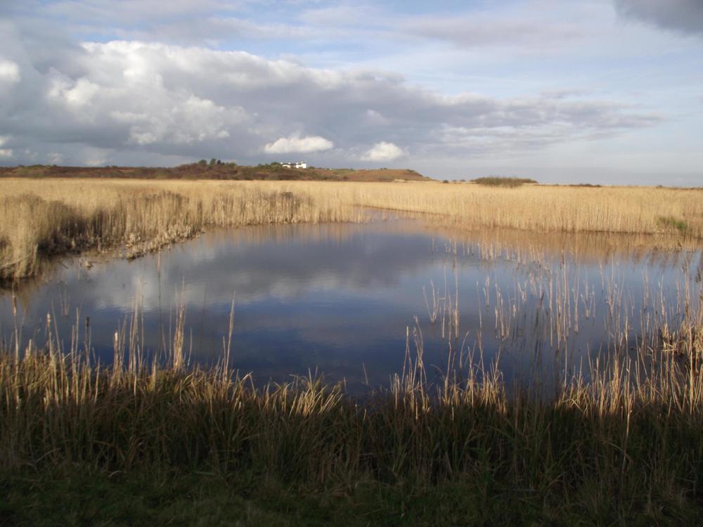 The History of Minsmere