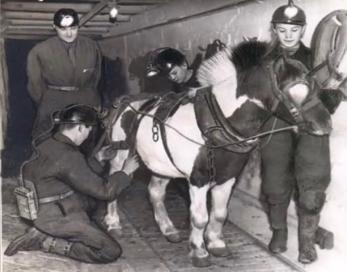 201214 Bevin Boys down mine wpony