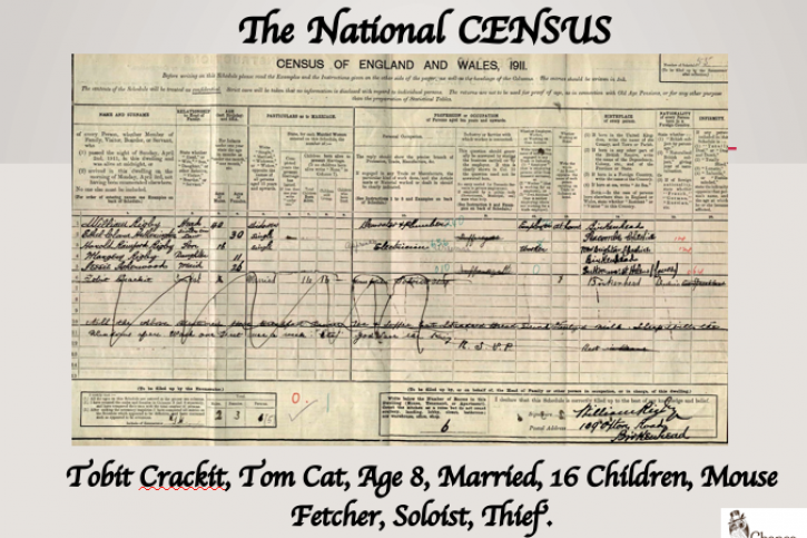 humour slide30 census tom cat