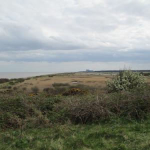 RSPB Minsmere and Sizewell B