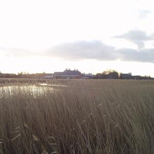 Snape Maltings across the marshes