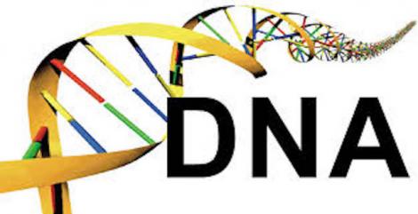 210419 DNA helix logo